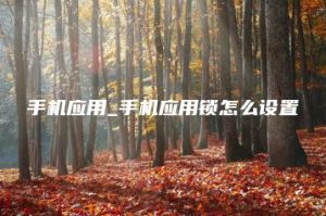 手机应用_手机应用锁怎么设置 | ae插件合集