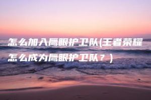 怎么加入鹰眼护卫队(王者荣耀怎么成为鹰眼护卫队？) | ae插件合集