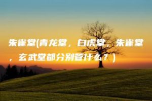 朱雀堂(青龙堂，白虎堂，朱雀堂，玄武堂都分别管什么？) | ae插件合集