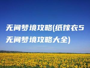 无间梦境攻略(纸嫁衣5无间梦境攻略大全) | ae插件合集