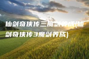 仙剑奇侠传三魔剑养成(仙剑奇侠传3魔剑养成) | ae插件合集