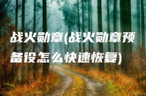 战火勋章(战火勋章预备役怎么快速恢复) | ae插件合集