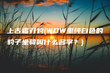 上古霜刃豹(WOW里纯白色的豹子坐骑叫什么名字？) | ae插件合集