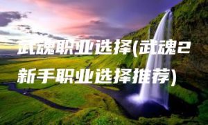 武魂职业选择(武魂2新手职业选择推荐) | ae插件合集