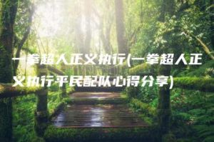 一拳超人正义执行(一拳超人正义执行平民配队心得分享) | ae插件合集