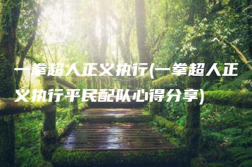 一拳超人正义执行(一拳超人正义执行平民配队心得分享) | ae插件合集