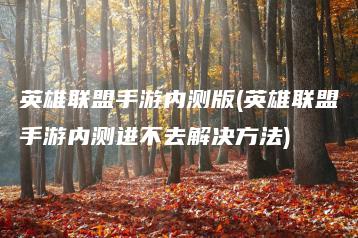 英雄联盟手游内测版(英雄联盟手游内测进不去解决方法) | ae插件合集