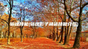 斩魂技能(斩魂影子角色技能介绍) | ae插件合集