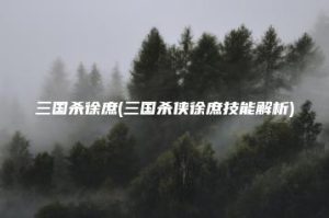 三国杀徐庶(三国杀侠徐庶技能解析) | ae插件合集