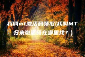我叫mt激活码领取(我叫MT：归来激活码在哪里找？) | ae插件合集