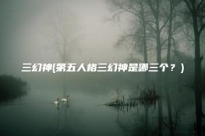 三幻神(第五人格三幻神是哪三个？) | ae插件合集