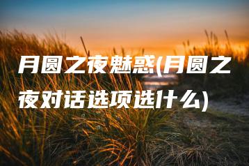 月圆之夜魅惑(月圆之夜对话选项选什么) | ae插件合集