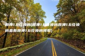 原神1.6兑换码(原神1.6兑换码原神1.6兑换码最新原神1.6兑换码领取) | ae插件合集