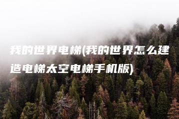 我的世界电梯(我的世界怎么建造电梯太空电梯手机版) | ae插件合集