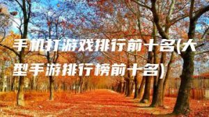 手机打游戏排行前十名(大型手游排行榜前十名) | ae插件合集