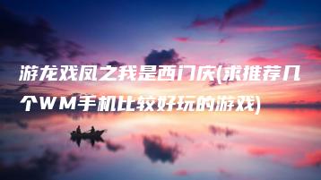 游龙戏凤之我是西门庆(求推荐几个WM手机比较好玩的游戏) | ae插件合集
