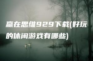 赢在思维929下载(好玩的休闲游戏有哪些) | ae插件合集