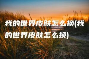 我的世界皮肤怎么换(我的世界皮肤怎么换) | ae插件合集