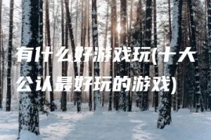 有什么好游戏玩(十大公认最好玩的游戏) | ae插件合集