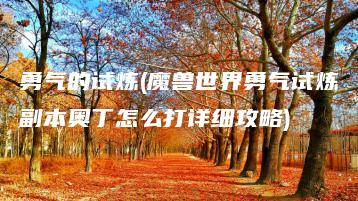 勇气的试炼(魔兽世界勇气试炼副本奥丁怎么打详细攻略) | ae插件合集