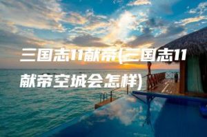 三国志11献帝(三国志11献帝空城会怎样) | ae插件合集