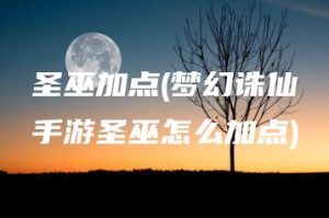 圣巫加点(梦幻诛仙手游圣巫怎么加点) | ae插件合集