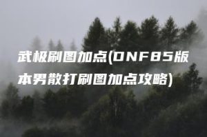 武极刷图加点(DNF85版本男散打刷图加点攻略) | ae插件合集