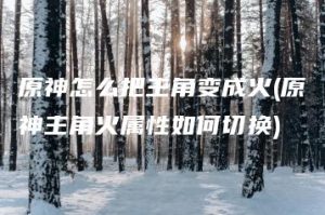 原神怎么把主角变成火(原神主角火属性如何切换) | ae插件合集