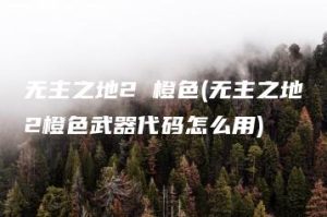 无主之地2 橙色(无主之地2橙色武器代码怎么用) | ae插件合集