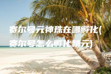 赛尔号元神珠在哪孵化(赛尔号怎么孵化精元) | ae插件合集