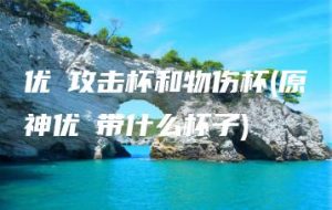 优菈攻击杯和物伤杯(原神优菈带什么杯子) | ae插件合集