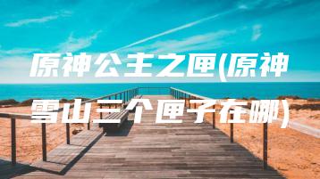 原神公主之匣(原神雪山三个匣子在哪) | ae插件合集