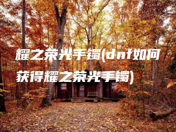 耀之荣光手镯(dnf如何获得耀之荣光手镯) | ae插件合集