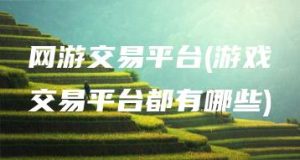 网游交易平台(游戏交易平台都有哪些) | ae插件合集