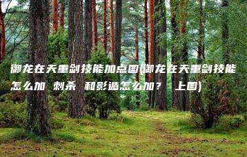 御龙在天重剑技能加点图(御龙在天重剑技能怎么加 刺杀 和影遁怎么加？ 上图) | ae插件合集