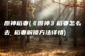 原神稻妻(《原神》稻妻怎么去 稻妻解锁方法详情) | ae插件合集