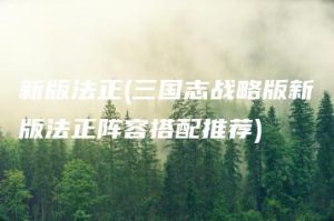 新版法正(三国志战略版新版法正阵容搭配推荐) | ae插件合集