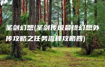 圣剑幻想(圣剑传说最终幻想外传攻略之任务流程攻略四) | ae插件合集