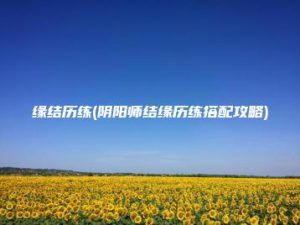 缘结历练(阴阳师结缘历练搭配攻略) | ae插件合集
