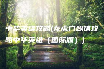 中华英雄攻略(龙虎门踢馆攻略中华英雄（国际版）) | ae插件合集