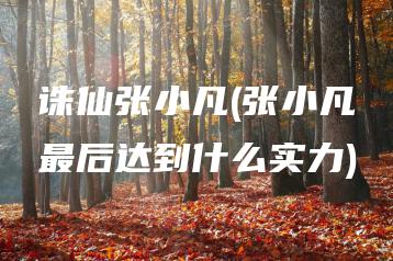 诛仙张小凡(张小凡最后达到什么实力) | ae插件合集