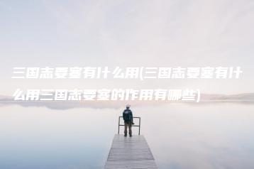 三国志要塞有什么用(三国志要塞有什么用三国志要塞的作用有哪些) | ae插件合集