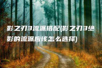 影之刃3流派搭配(影之刃3绝影的流派应该怎么选择) | ae插件合集