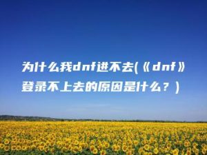 为什么我dnf进不去(《dnf》登录不上去的原因是什么？) | ae插件合集