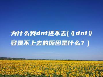 为什么我dnf进不去(《dnf》登录不上去的原因是什么？) | ae插件合集