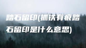 踏石留印(抓铁有痕踏石留印是什么意思) | ae插件合集