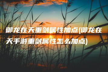御龙在天重剑属性加点(御龙在天手游重剑属性怎么加点) | ae插件合集