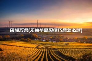 因缘巧合(无悔华夏因缘巧合怎么过) | ae插件合集