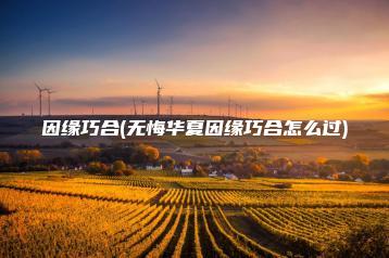 因缘巧合(无悔华夏因缘巧合怎么过) | ae插件合集