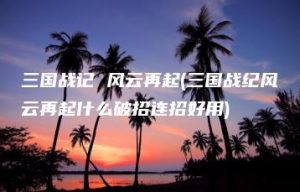 三国战记 风云再起(三国战纪风云再起什么破招连招好用) | ae插件合集